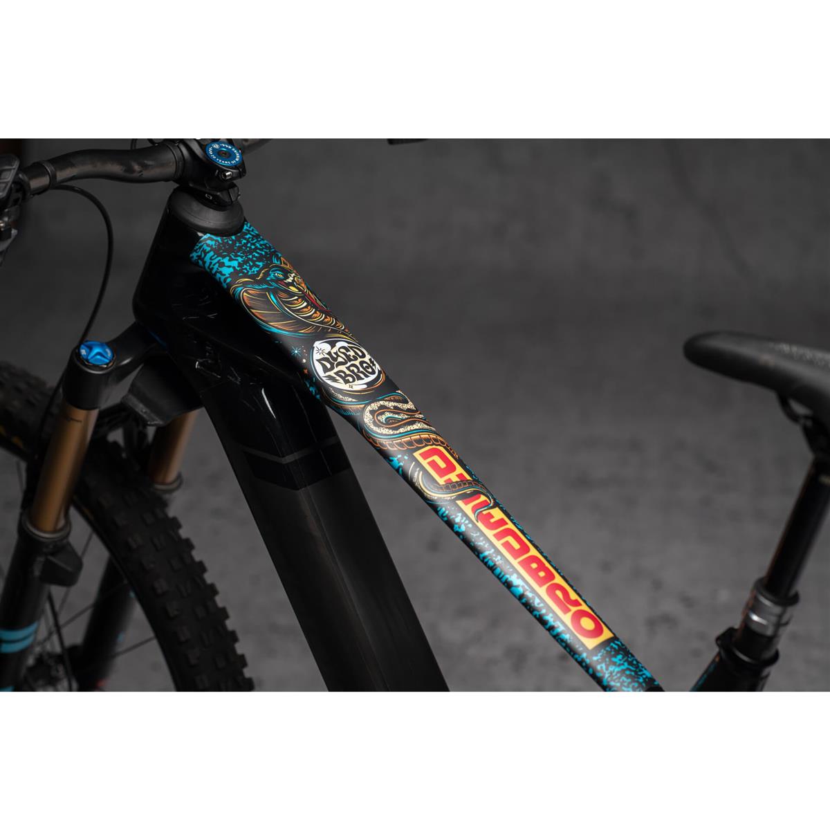 Adesivi Protezione Telaio E-Bike RRR Multicolour