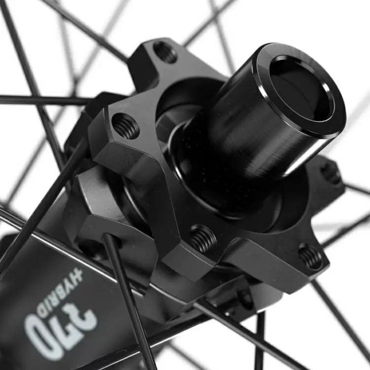 Front Wheel E-bike HX1700 29'' 30mm 6 Holes Boost 15x110mm #1