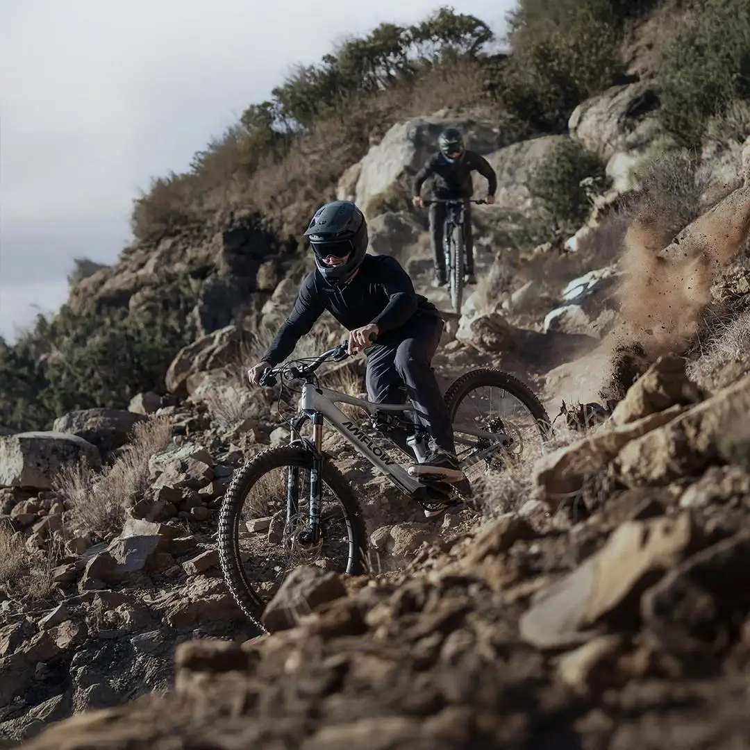 Detalhe do motor Avinox M2S