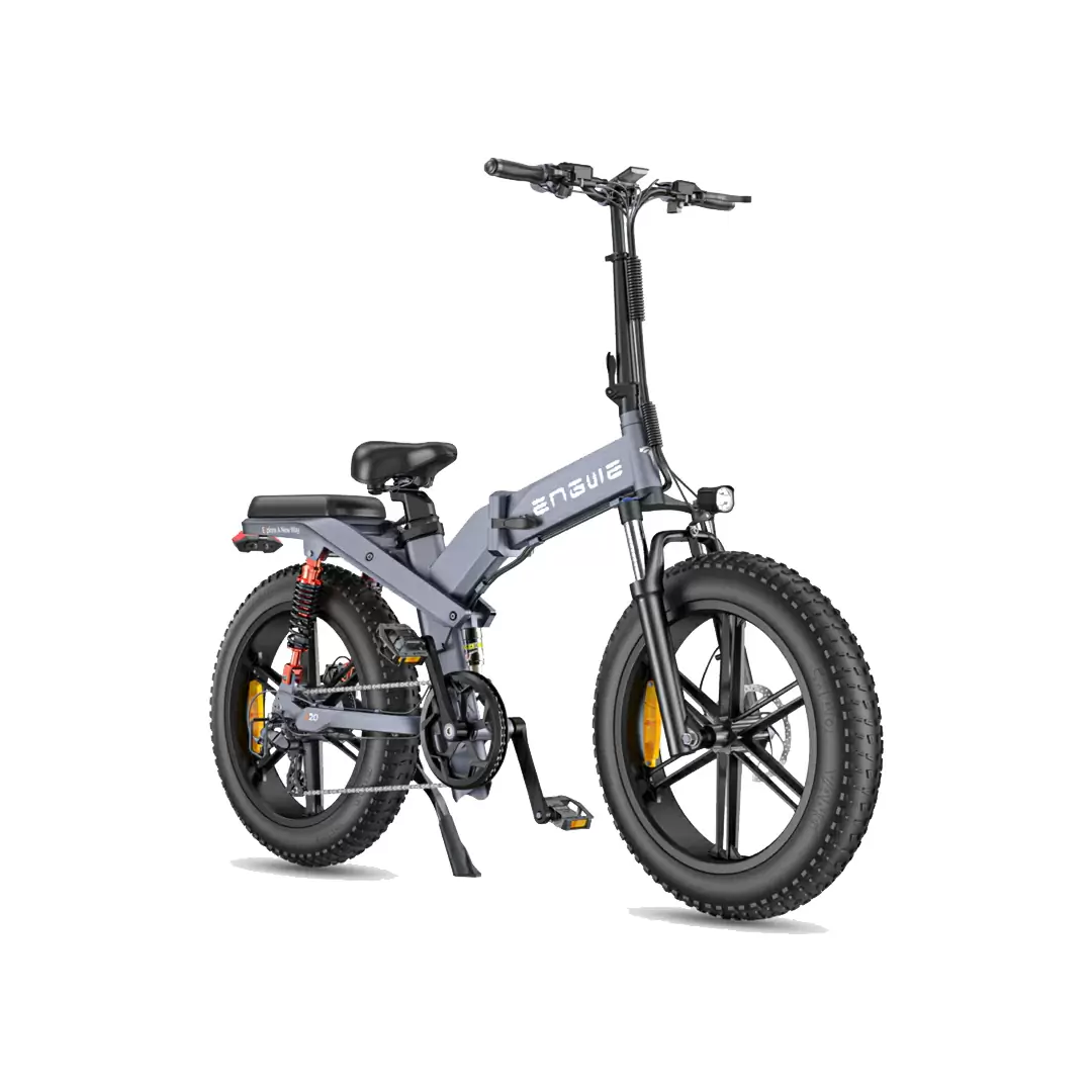 Bici Pieghevole Fat Bike X20 20'' 8v 691Wh + 374Wh Dual Battery Grigio Taglia Unica - image