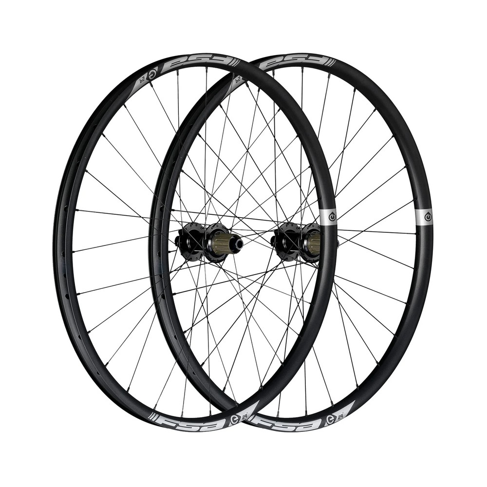 Ruota Anteriore E-MTB ALLOY 29 B1