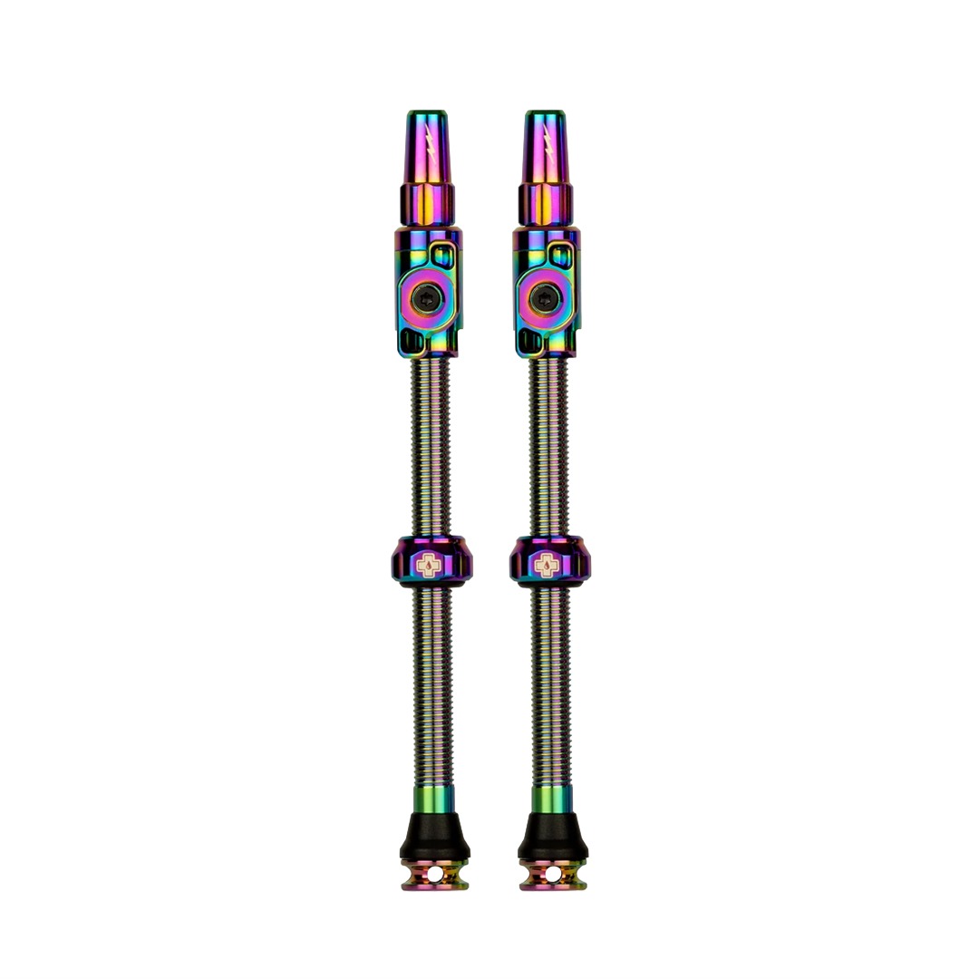 Paire de valves tubeless Big Bore Lite XXXL 80mm irisé