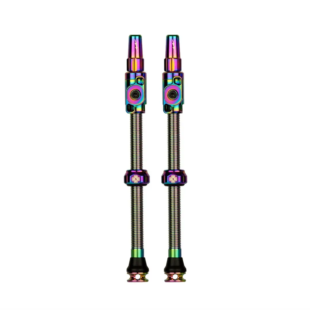 Paire de valves tubeless Big Bore Lite XXXL 80mm irisé - image