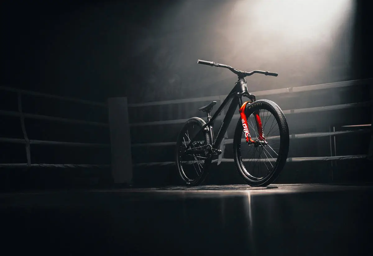 Mondraker Kaoz Profile