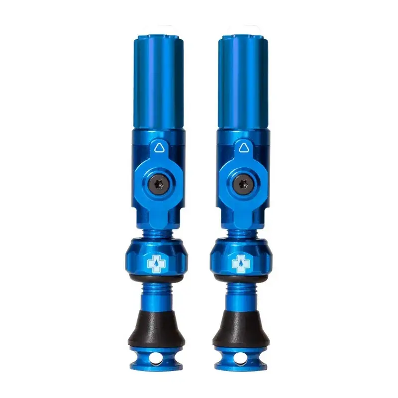 Coppia Valvole Tubeless Big Bore Hybrid Small 30mm Blu - image