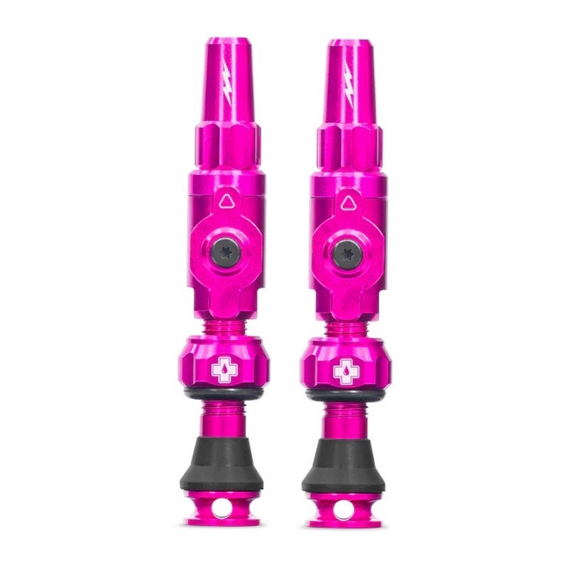 Coppia Valvole Tubeless Big Bore Lite Small 30mm Rosa