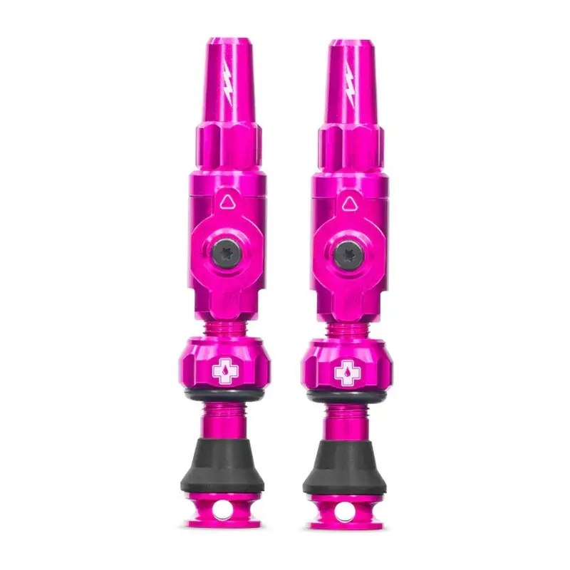 Coppia Valvole Tubeless Big Bore Lite Small 30mm Rosa - image