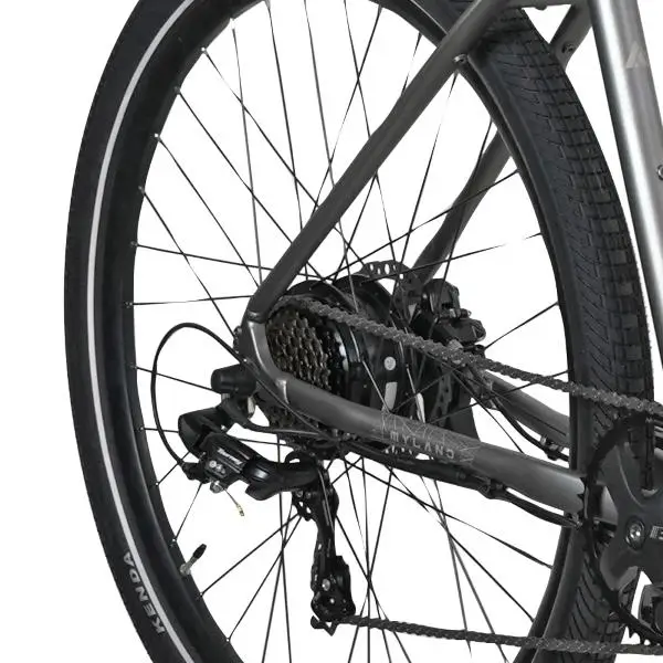 Lucio E-City 28 '' 7V 500Wh Gray Unique Taille #7