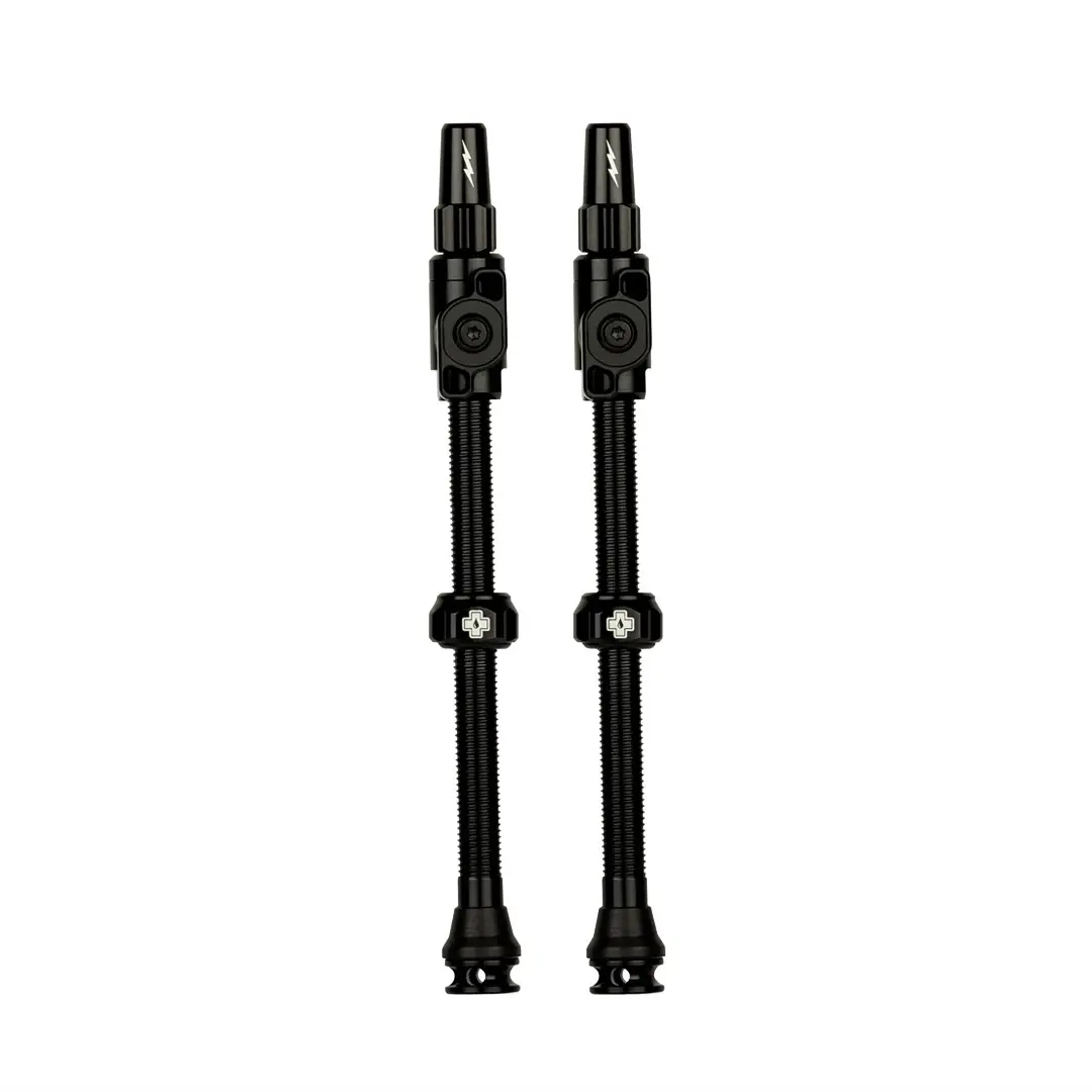 Paire de valves tubeless Big Bore Lite XXXL 80mm Noir - image