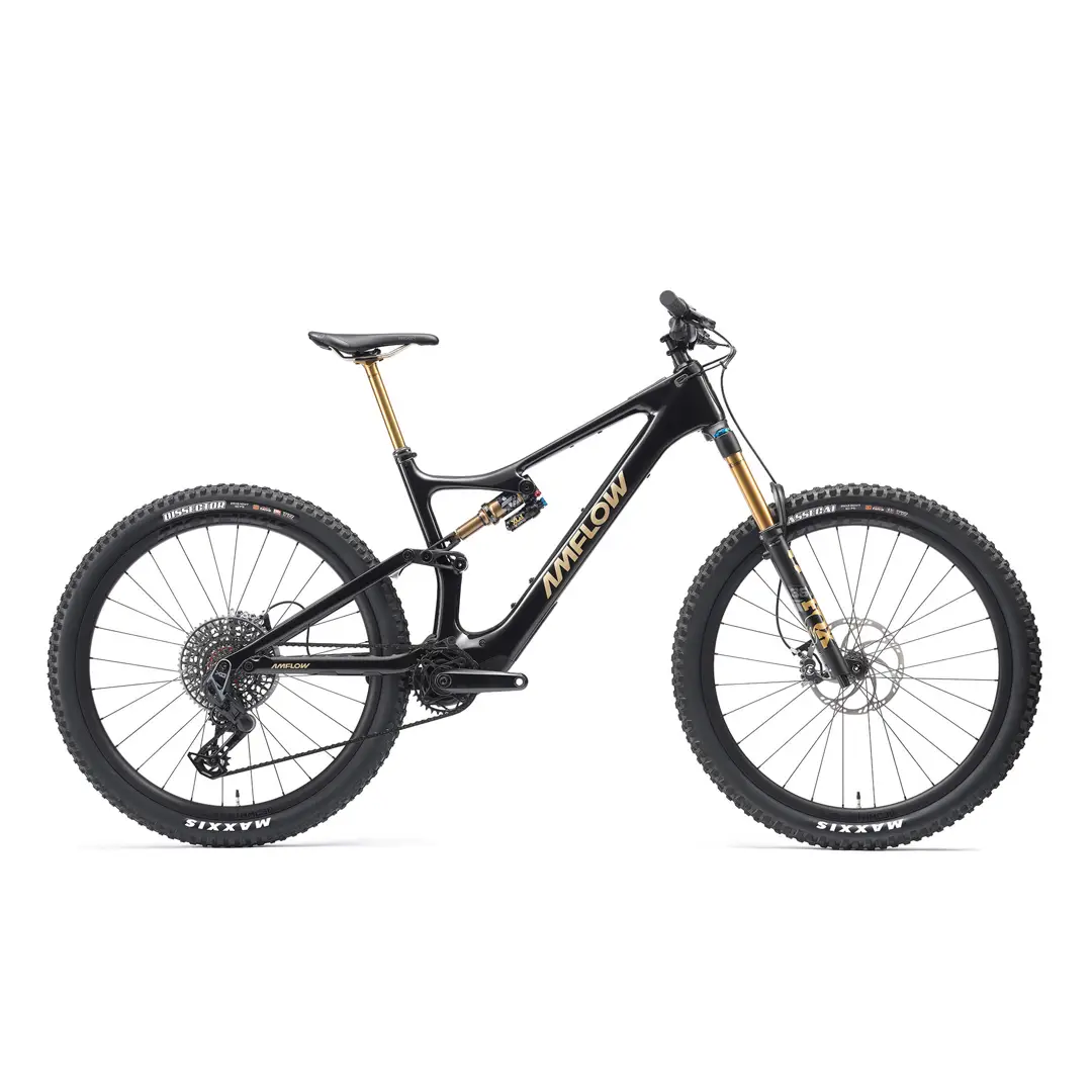 PL Carbon Pro 29 '' 160mm 12v 800Wh Dji Avinox M1 Cosmic Black Size M - image