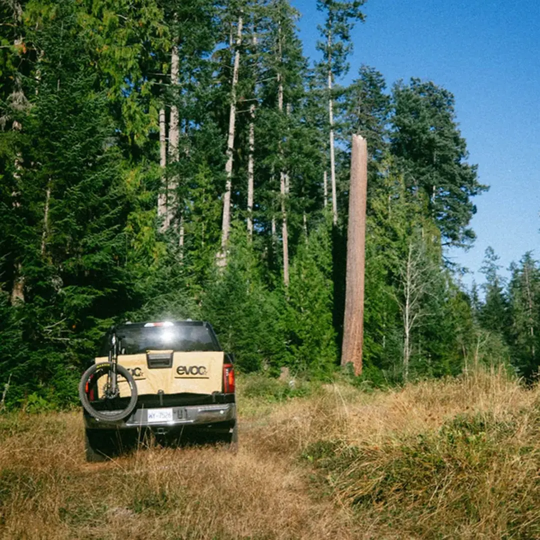 Pick Up Transportschutz Fahrrad Heckklappenpolster Größe M/L Beige #3