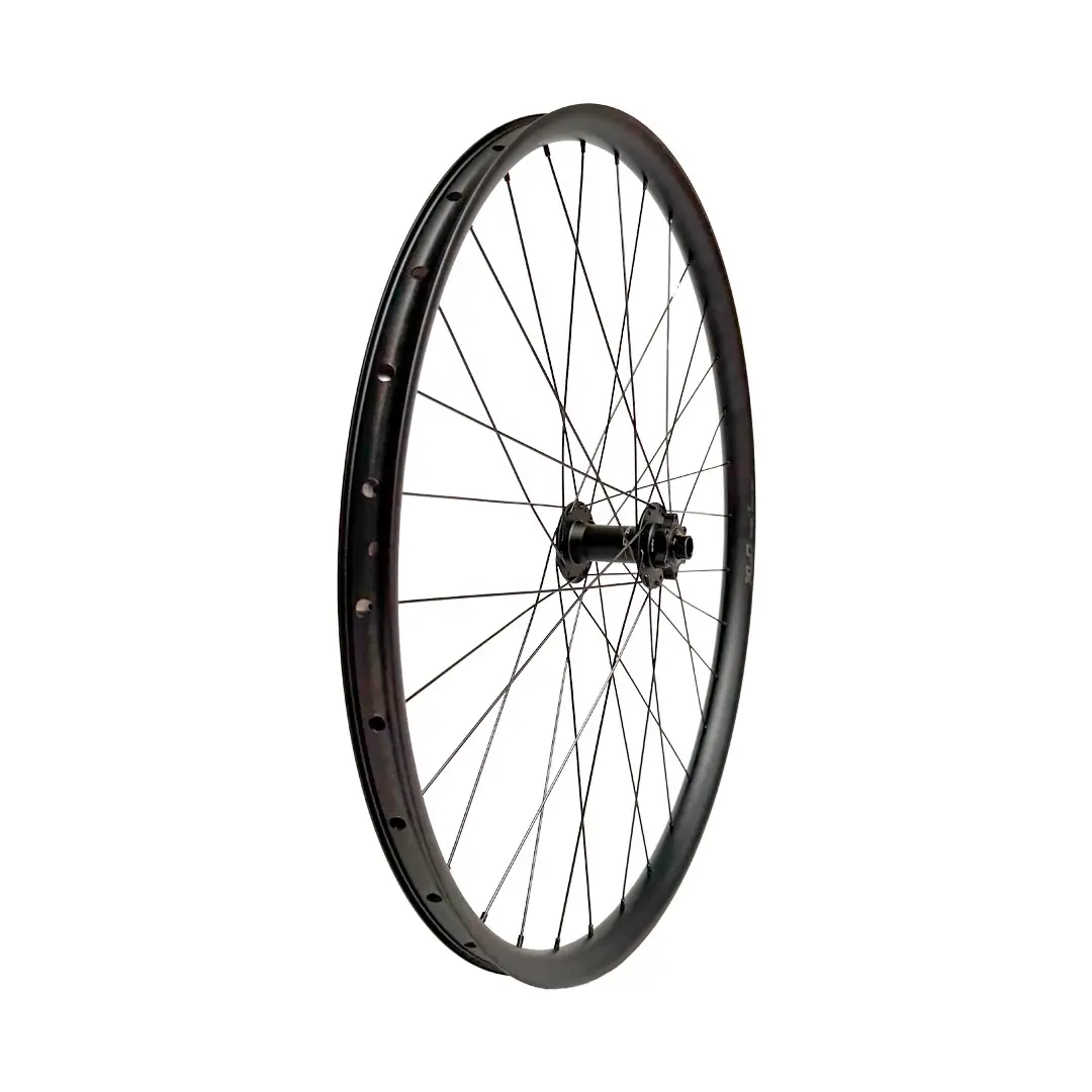 Ruota Anteriore FW-M59 Boost E-Bike 29'' Canale 30mm Tubeless Ready Nero - image