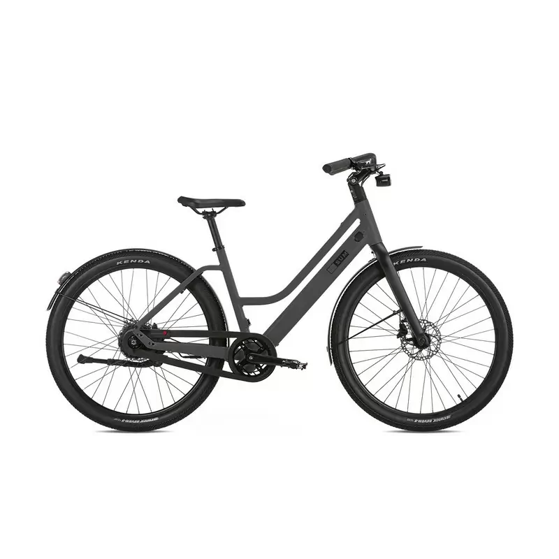 Stealth M 27.5'' 2v 360Wh Rear Motor Bafang Gray One Size - image