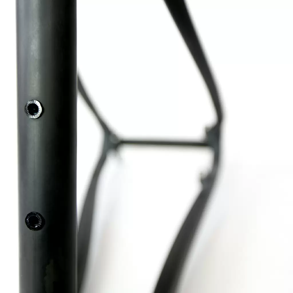 Raw Carbon Hardtail Mtb Frame 29'' Boost PP12x148 Conical BSA Size L #2