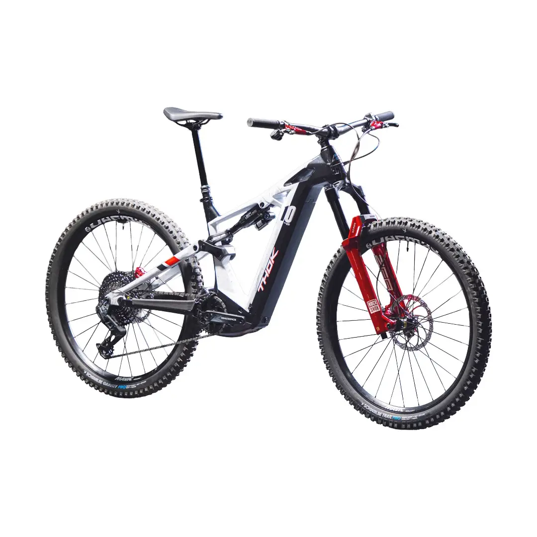 TP4 29'' 160mm 12v 800Wh Bosch Performance Line CX Capsule Limited Edition 2026 Size M - image