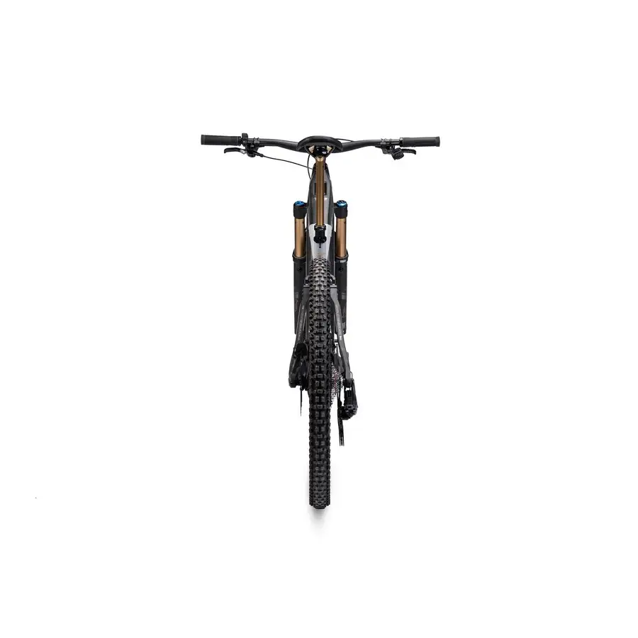 TP4 Édition Limitée 29'' 160mm 12v 800Wh Bosch Performance Line CX Gold 2026 Taille S #7