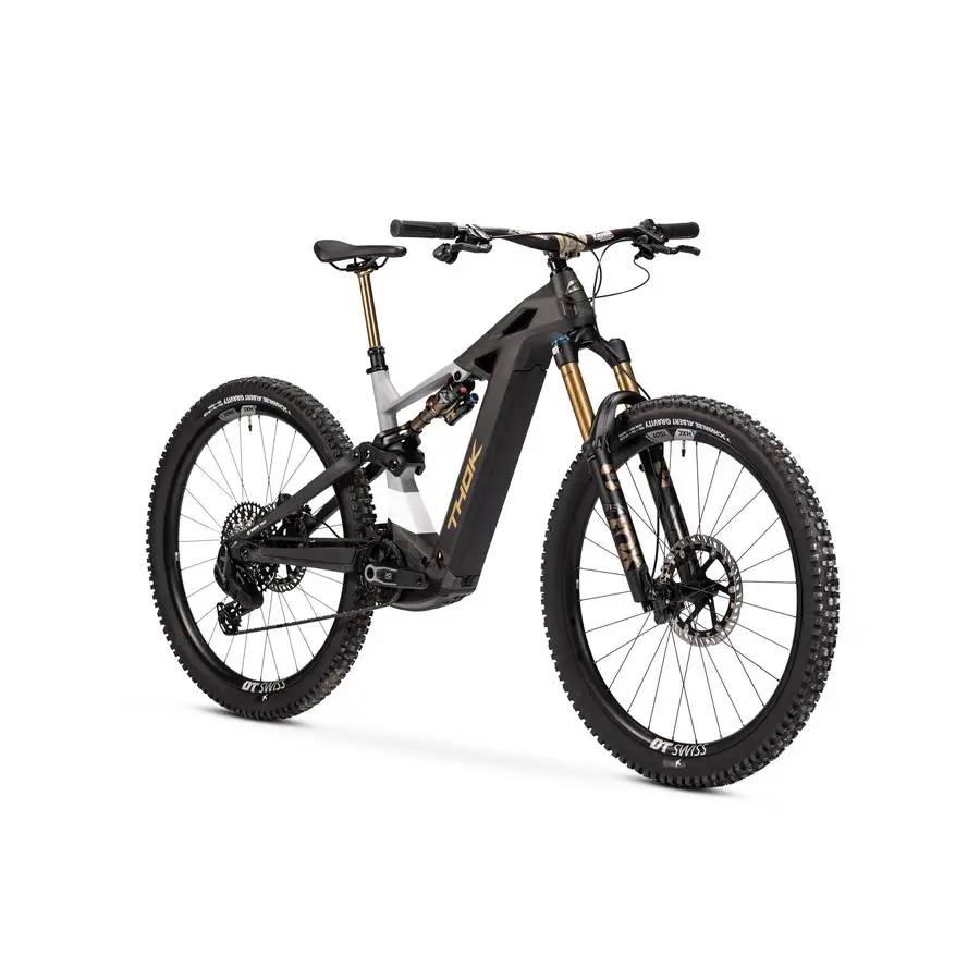 TP4 Édition Limitée 29'' 160mm 12v 800Wh Bosch Performance Line CX Gold 2026 Taille S #1