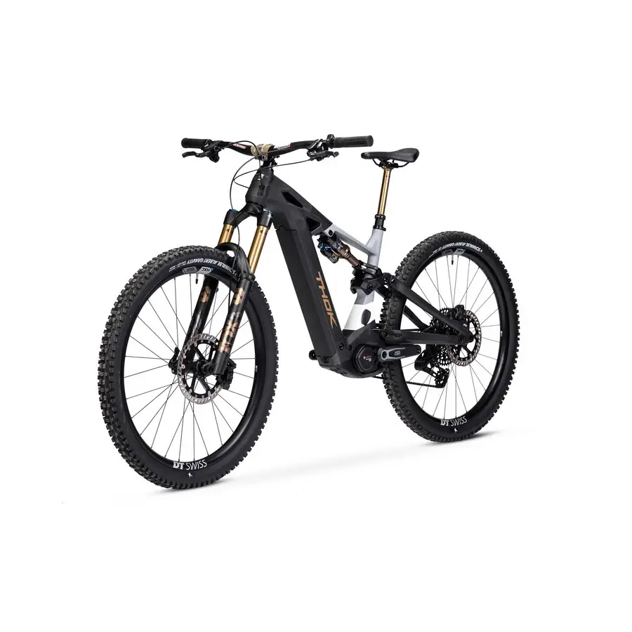 TP4 Édition Limitée 29'' 160mm 12v 800Wh Bosch Performance Line CX Gold 2026 Taille S #3