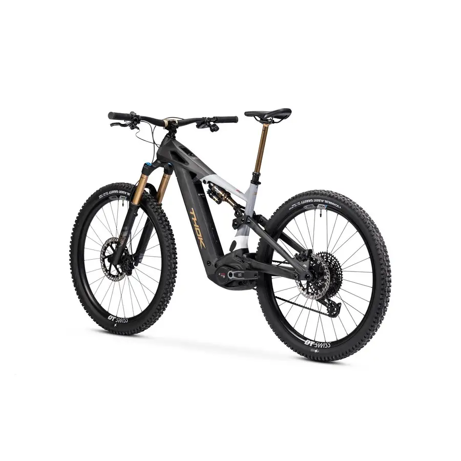 TP4 Édition Limitée 29'' 160mm 12v 800Wh Bosch Performance Line CX Gold 2026 Taille S #5