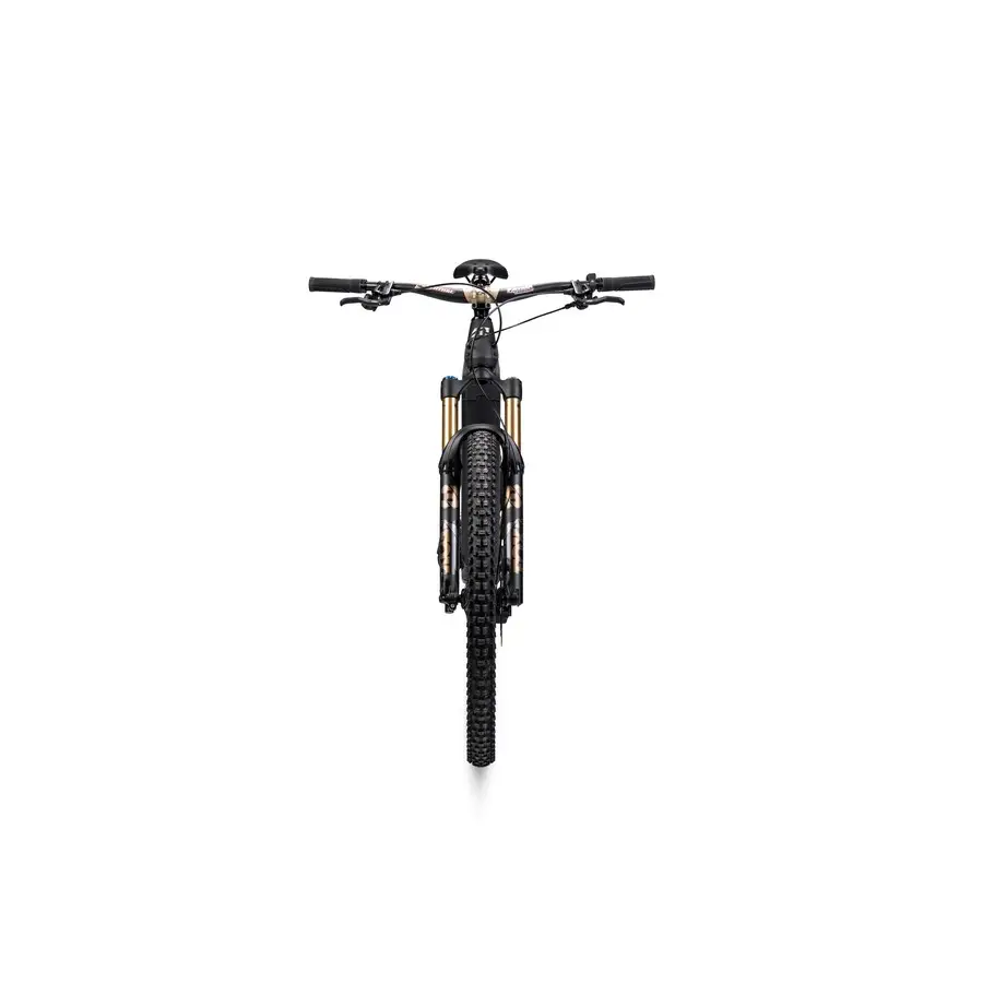 TP4 Édition Limitée 29'' 160mm 12v 800Wh Bosch Performance Line CX Gold 2026 Taille S #6