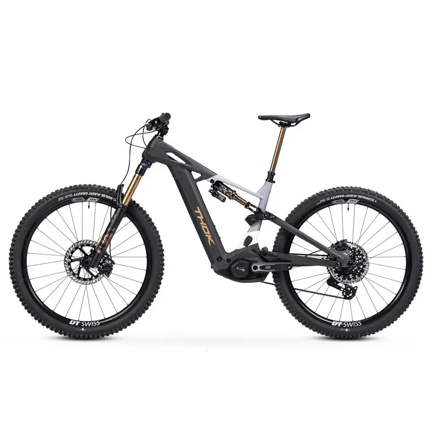 TP4 Édition Limitée 29'' 160mm 12v 800Wh Bosch Performance Line CX Gold 2026 Taille S #4