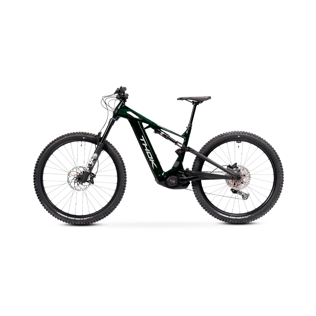 TP4 29 '' 160mm 12V 800WH Bosch Performance Line CX Dragon Green 2025 Size S #4