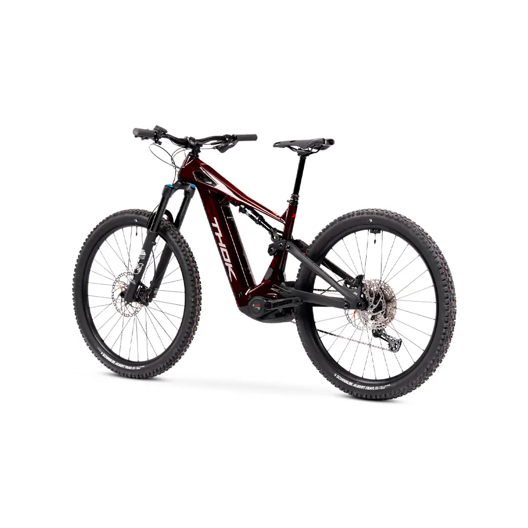TP4 29 '' 160mm 12V 800WH Bosch Performance Line CX Red 2025 tamanho S #5