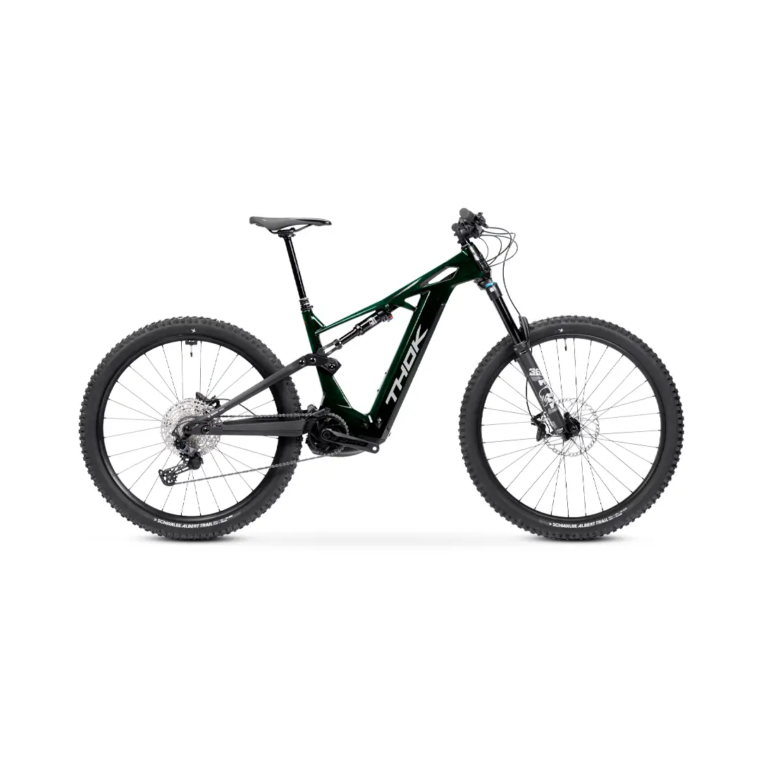TP4 29 '' 160mm 12V 800WH Bosch Performance Line CX Dragon Green 2025 Size S - image