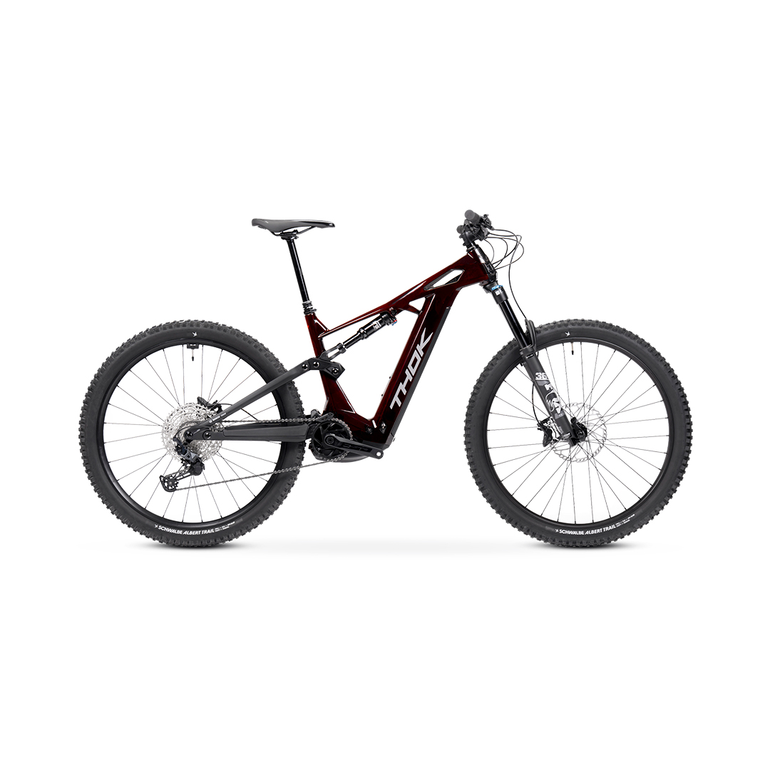 TP4 29 '' 160mm 12V 800WH Bosch Performance Line CX Red 2025 tamanho S