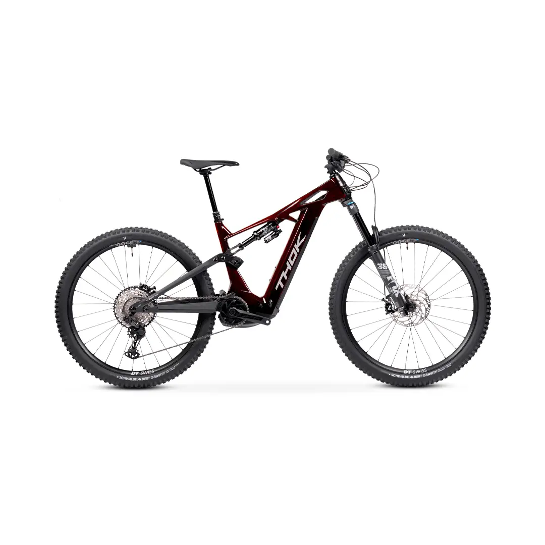 TP4-S 29 '' 160 mm 12V 800WH Línea de rendimiento Bosch CX Forged Red 2025 Tamaño s - image
