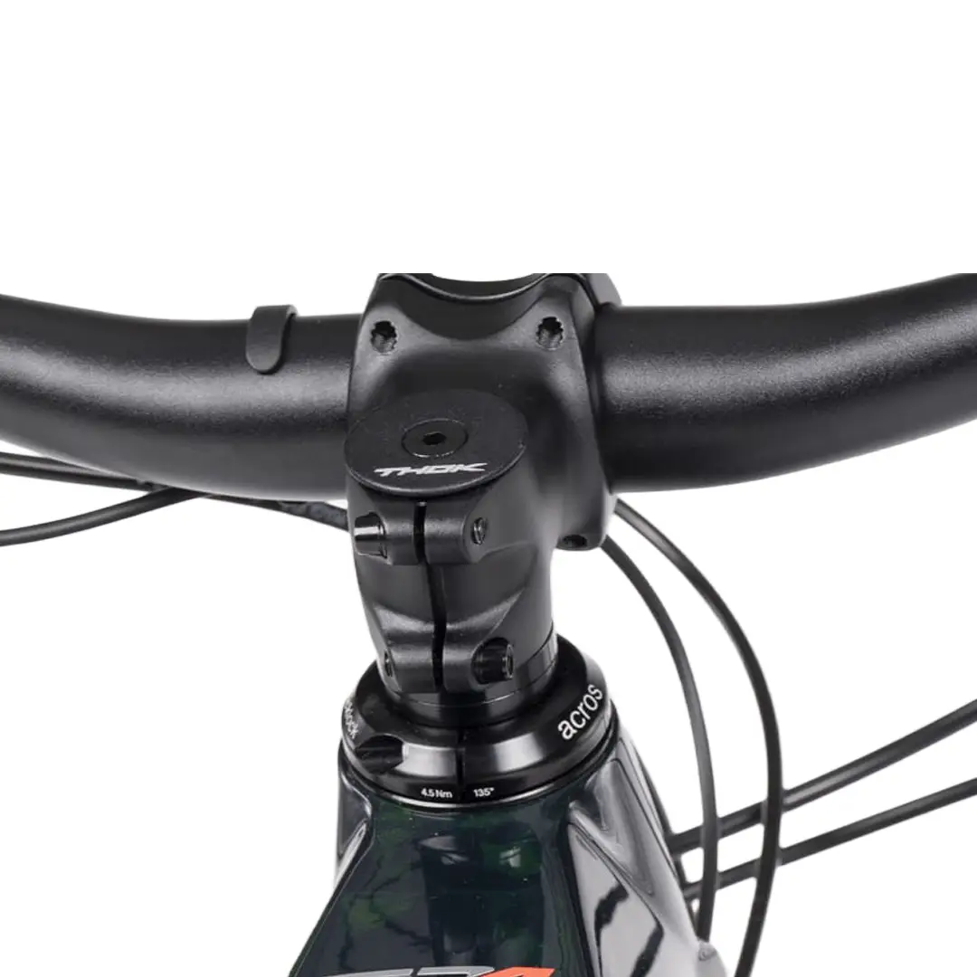 TP4-S 29 '' 160 mm 12V 800WH Línea de rendimiento Bosch CX Dragon Green 2025 Tamaño s #10