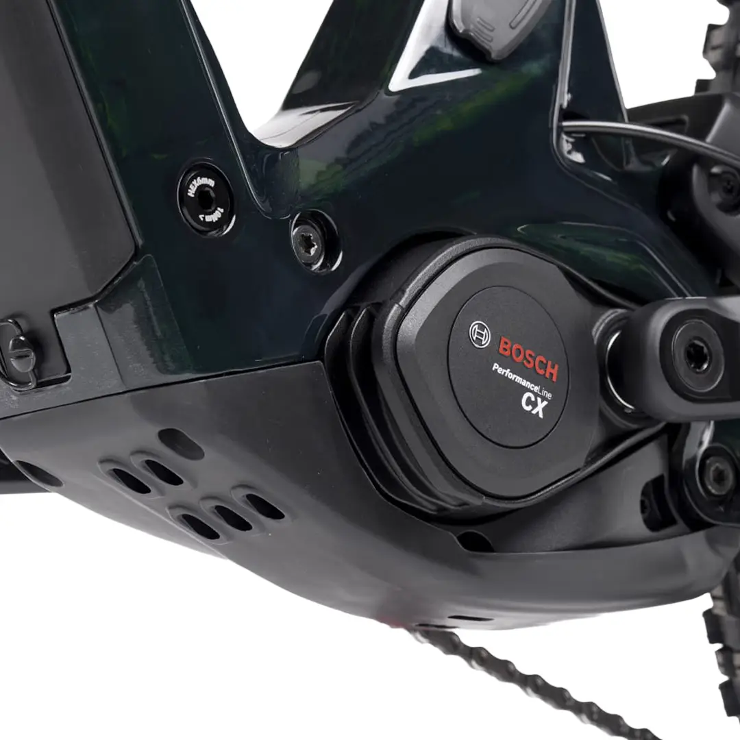 TP4-S 29 '' 160 mm 12V 800WH Línea de rendimiento Bosch CX Dragon Green 2025 Tamaño s #8
