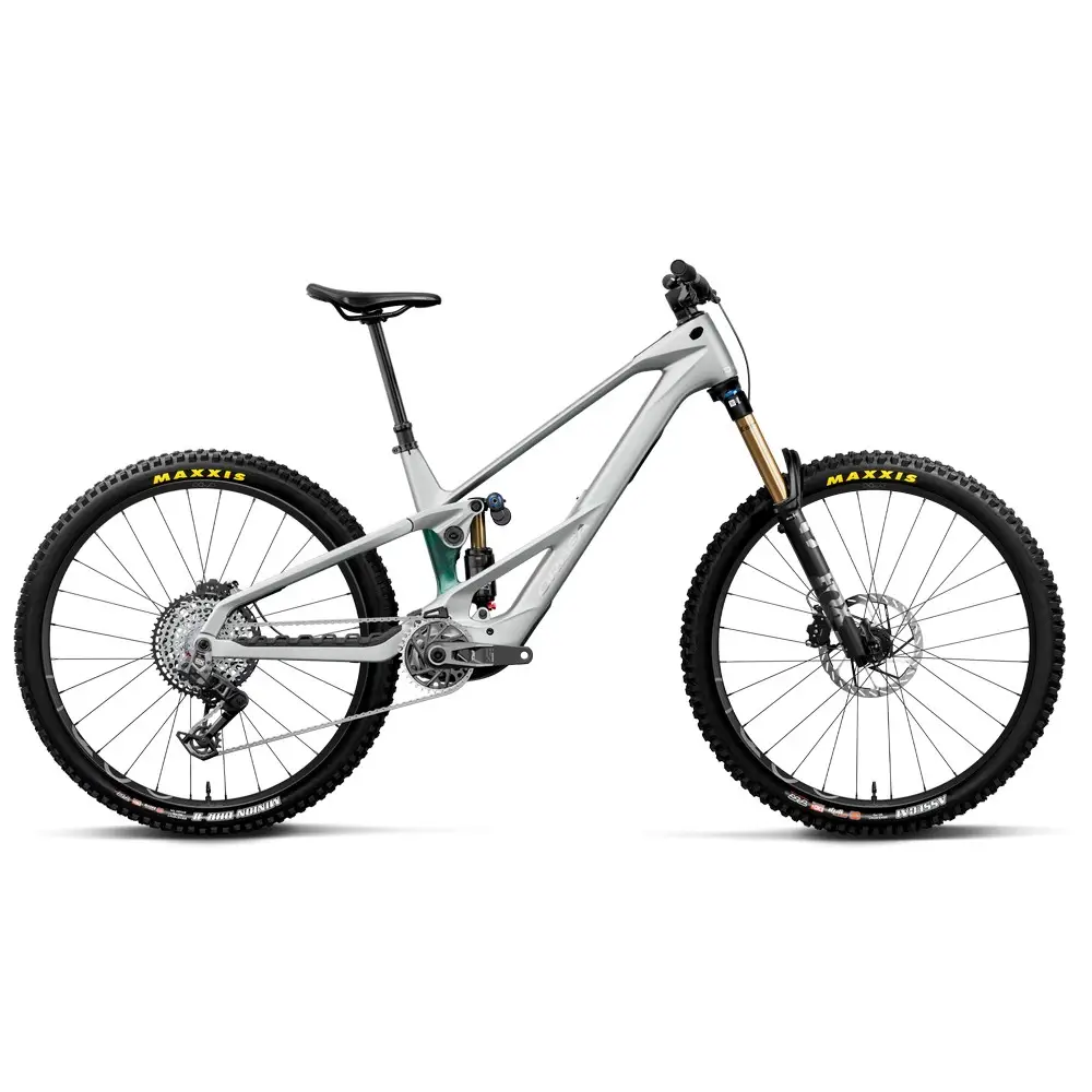 WILD LT M-TEAM RS 29'' 12v 170mm 800Wh Avinox M2S Smooth Silver/Escape Green C View 2027 Taglia S - image