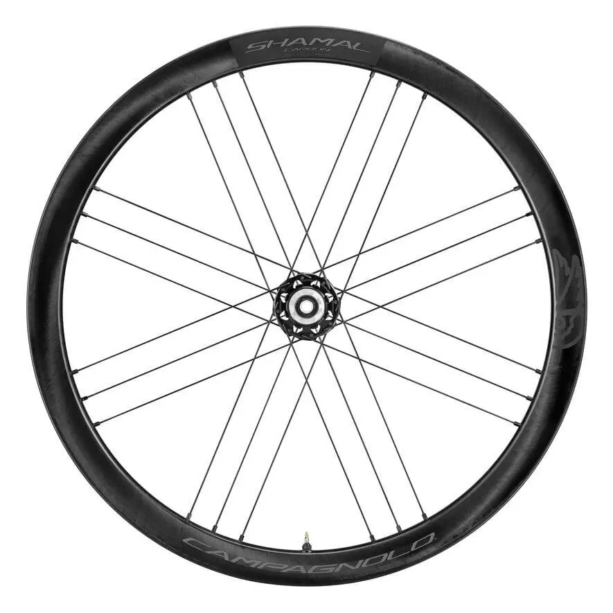 Coppia ruote SHAMAL CARBON c21 tubeless ready 2-Way Fit disc Center Lock AFS Sram XDR 12v #5