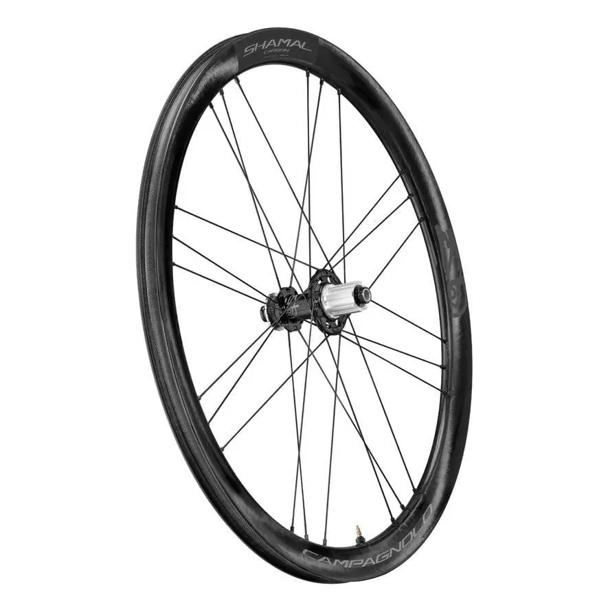 Coppia ruote SHAMAL CARBON c21 tubeless ready 2-Way Fit disc Center Lock AFS Sram XDR 12v #7