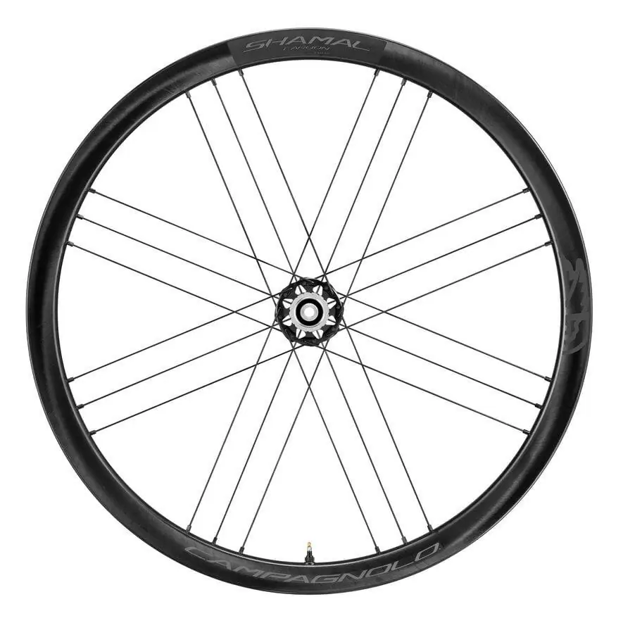 Coppia ruote SHAMAL CARBON c21 tubeless ready 2-Way Fit disc Center Lock AFS Sram XDR 12v #1