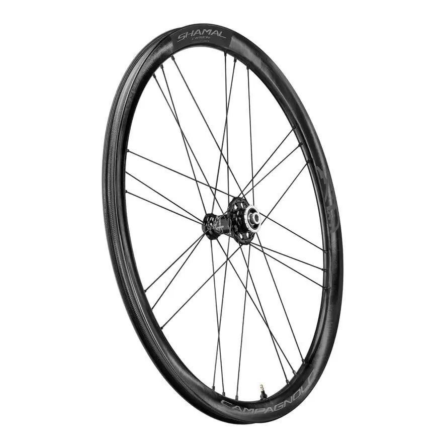 Coppia ruote SHAMAL CARBON c21 tubeless ready 2-Way Fit disc Center Lock AFS Sram XDR 12v #3