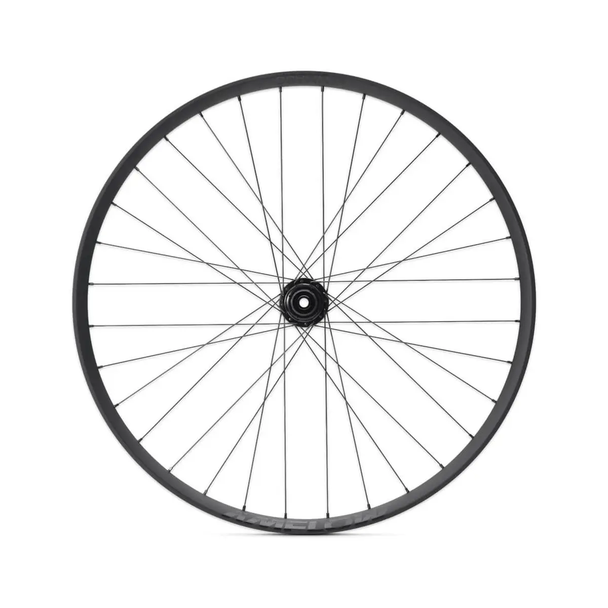 E-Bike HMA-30 Alumnio 29 '' 15x110mm - image