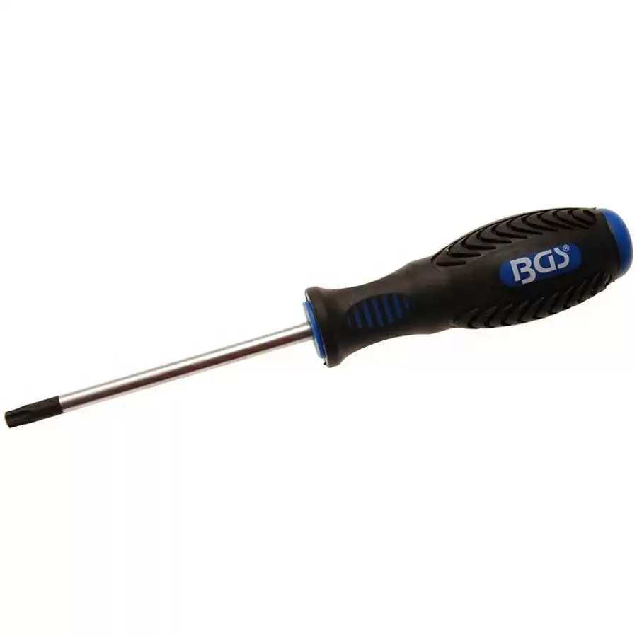 cacciavite pro torxt30x100mm - codice BGS4922 - image