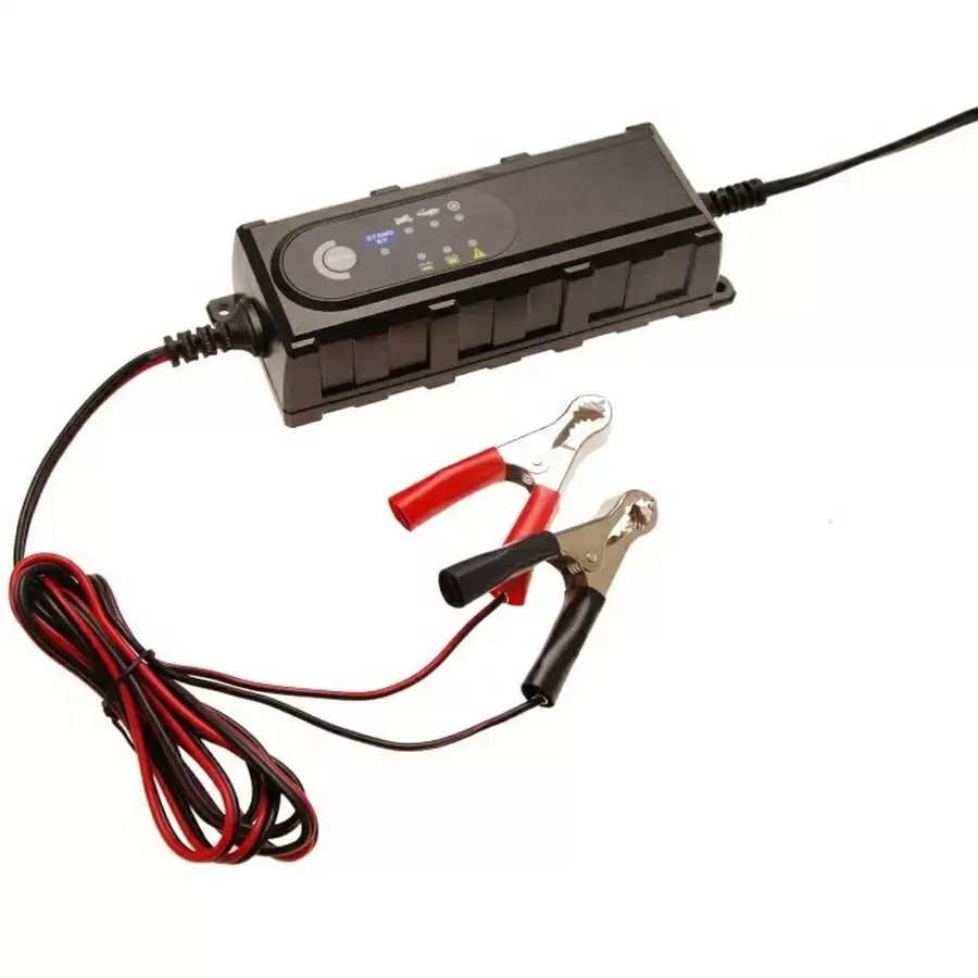 12 v car battery charger - code BGS63505 - image