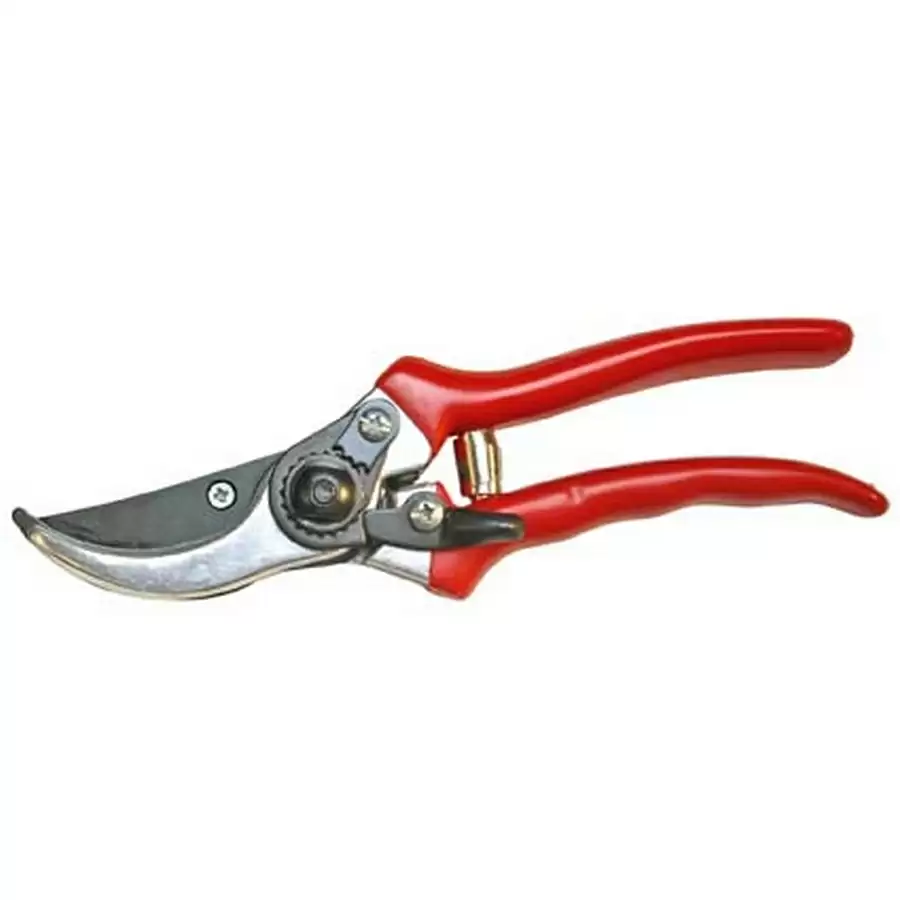 pruning shear 210 mm - code BGS9111 - image